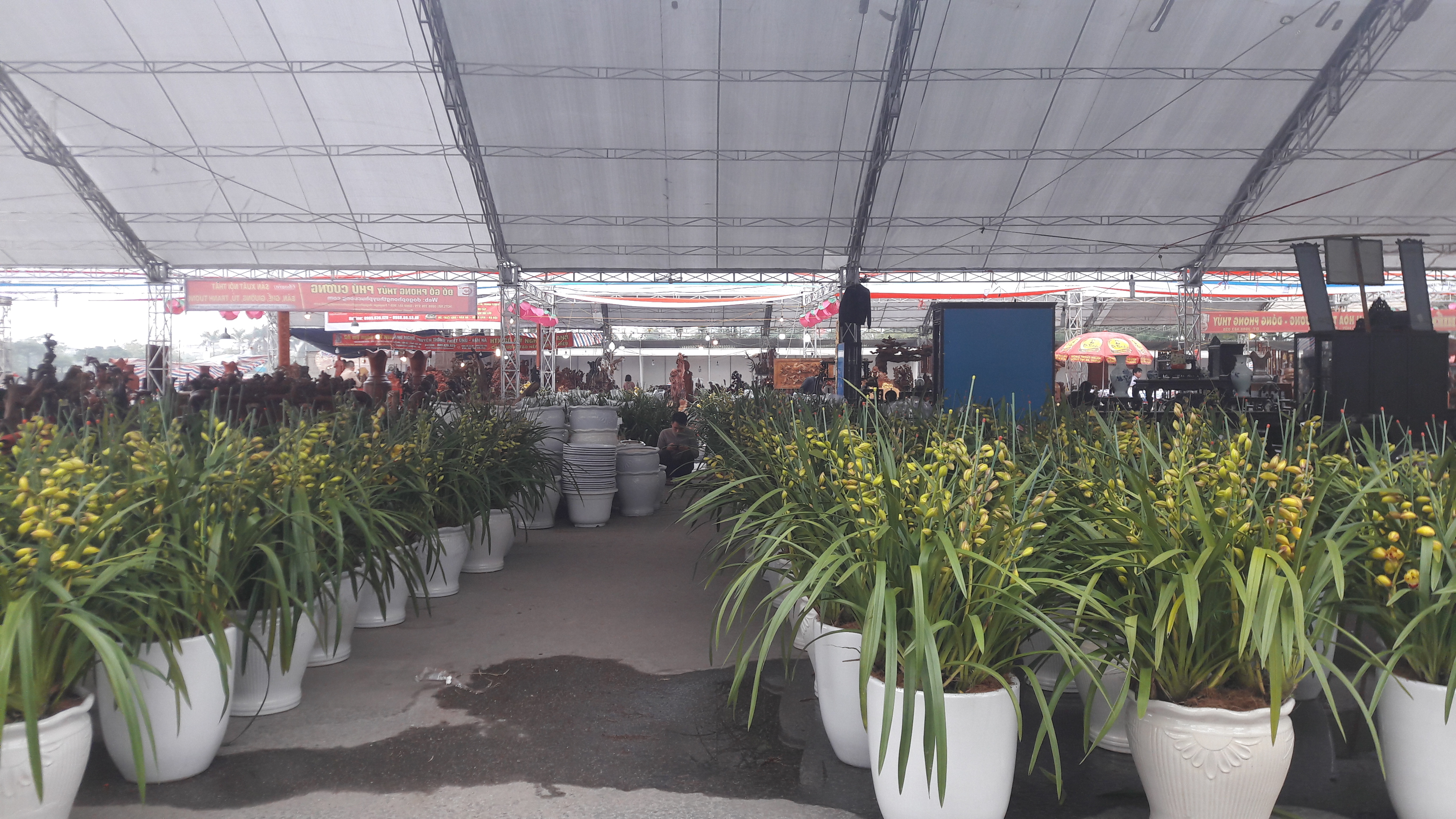 “Độc đáo” - Chợ xuân Nam Từ Liêm