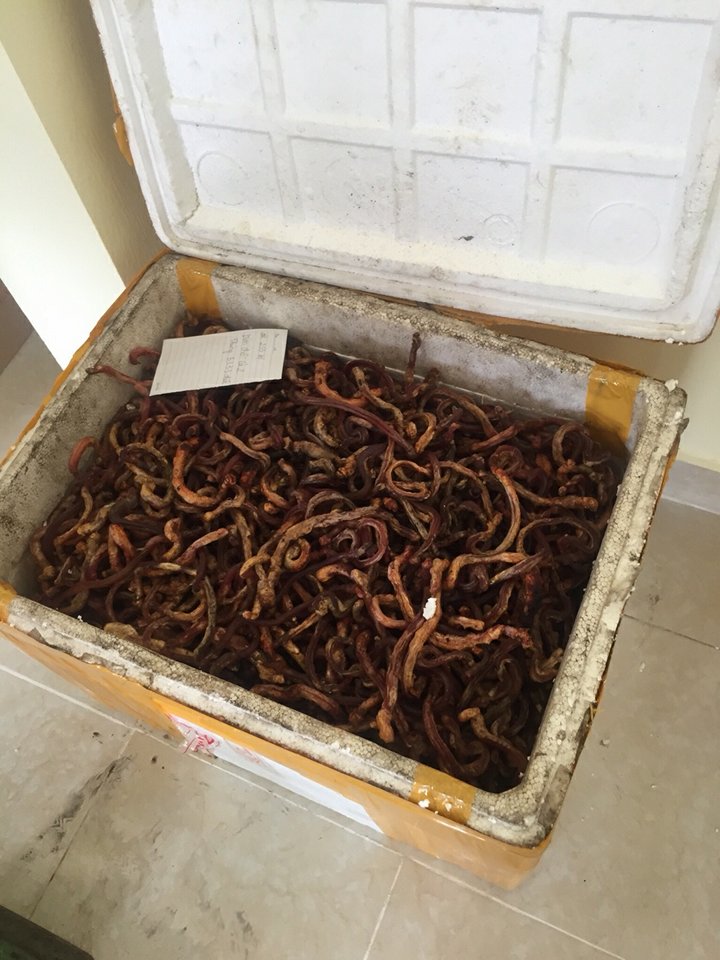 Quảng Ninh: Bắt giữ xe khách chở hàng hóa không rõ nguồn gốc