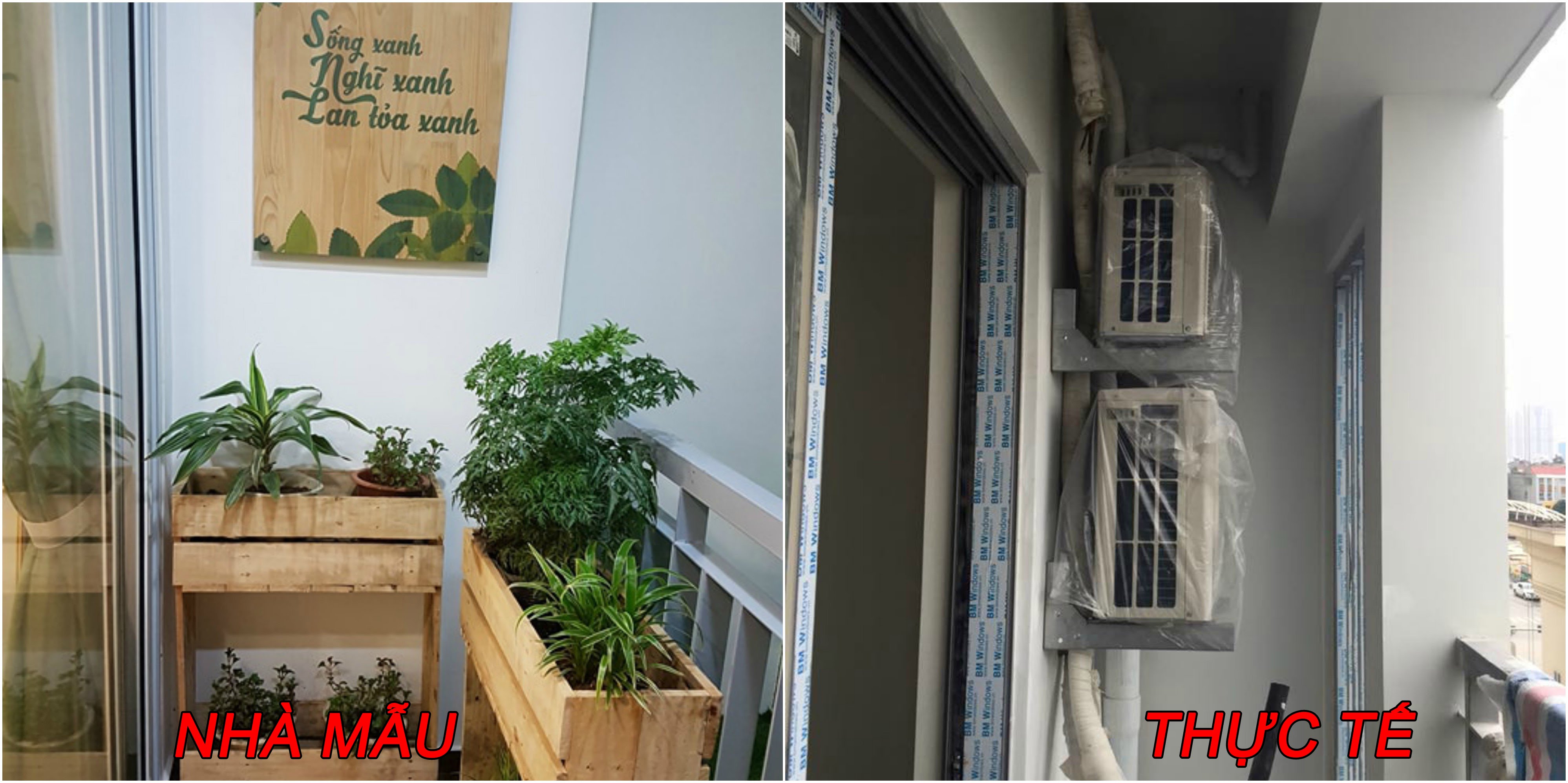 Anland Complex: Đầu đã xuôi, đuôi đang “vướng”?