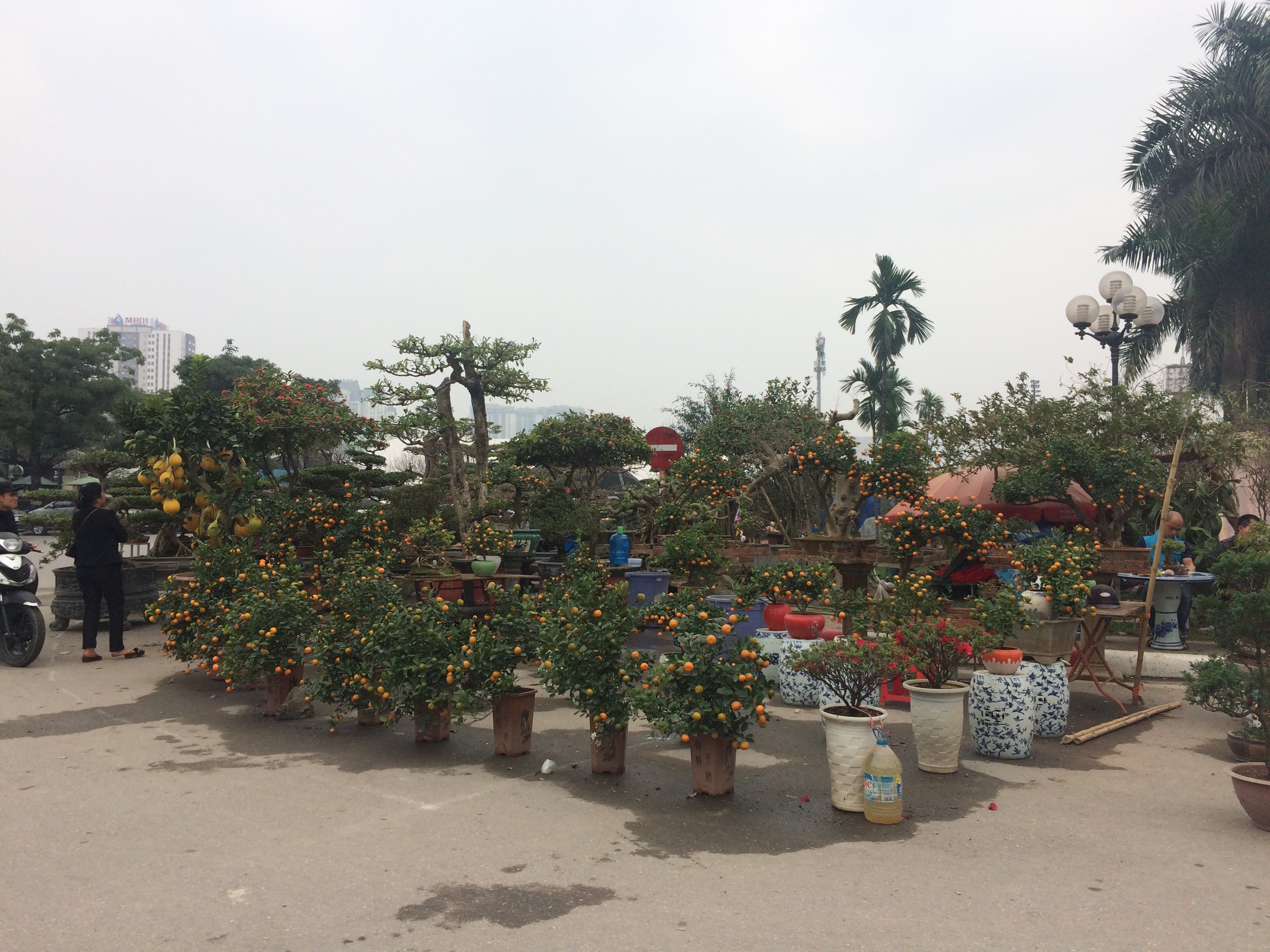 “Độc đáo” - Chợ xuân Nam Từ Liêm