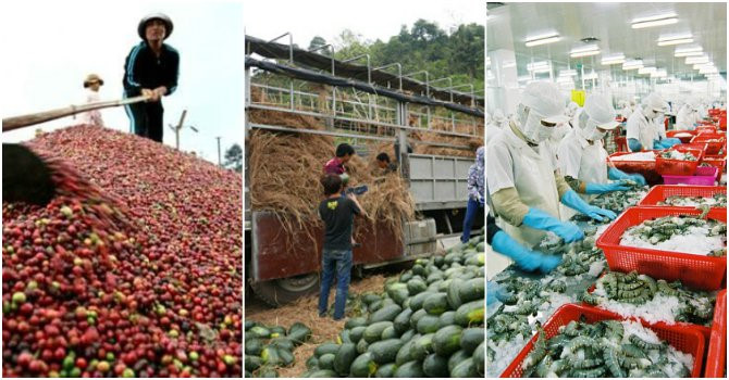 Xuất khẩu Nông – Lâm – Thủy sản đầu năm 2018 có tín hiệu khả quan