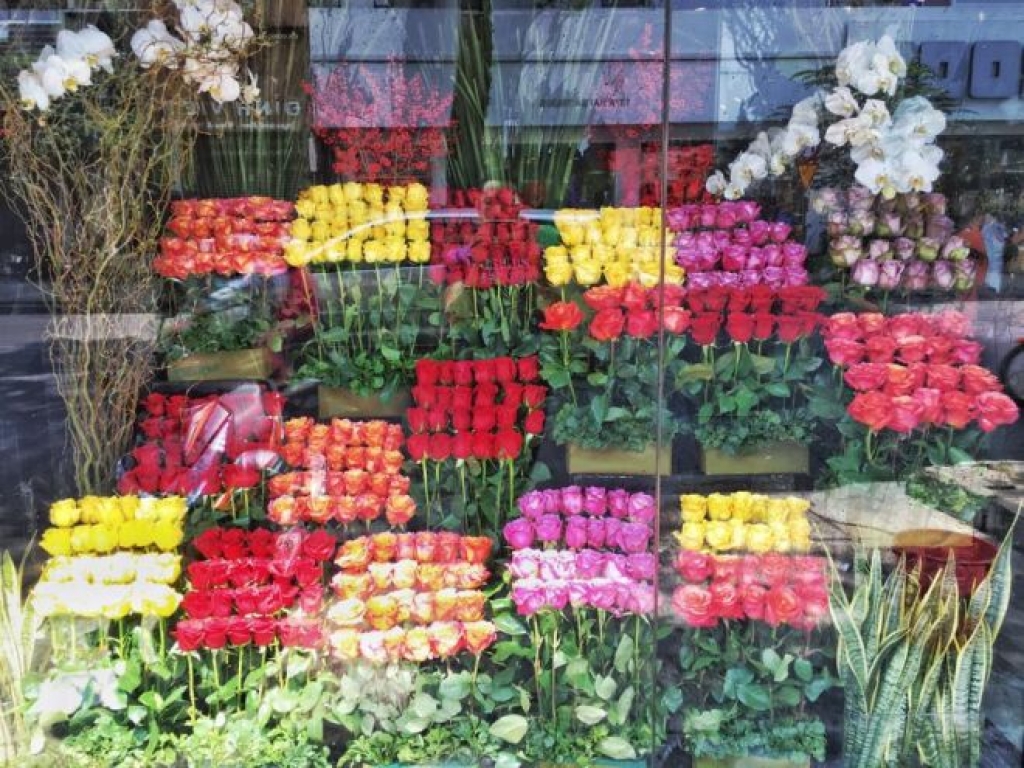 Nhập khẩu các loại hoa, cây cảnh dịp Tết năm 2018 tăng mạnh