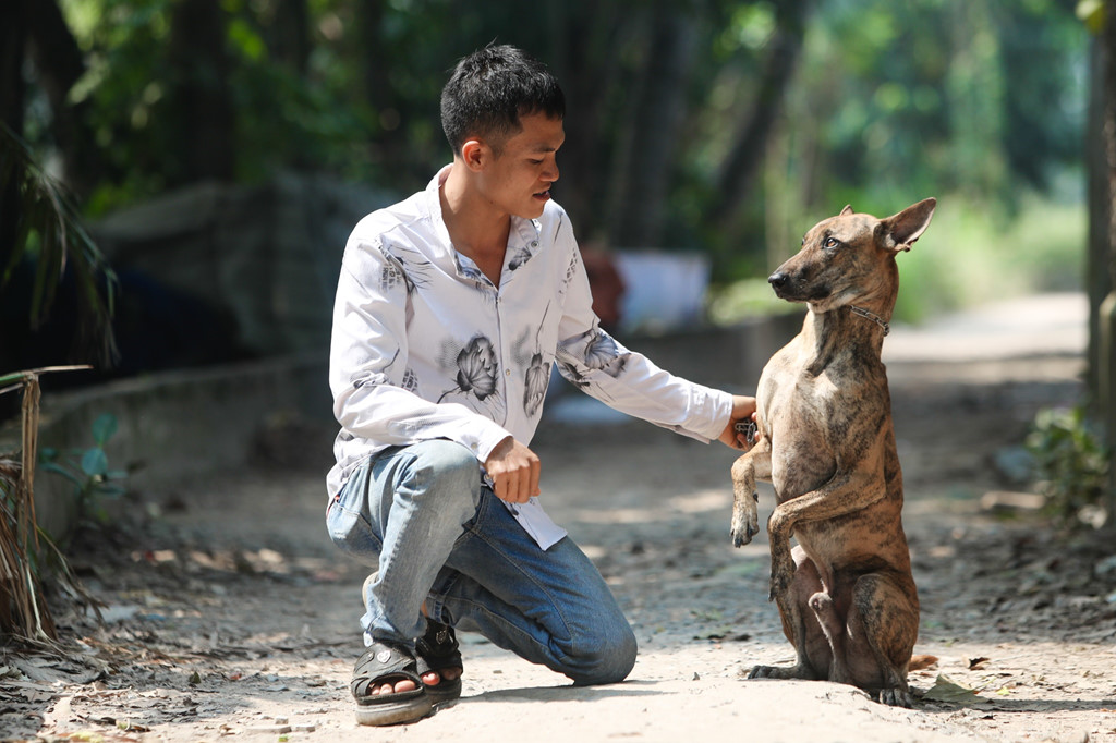 Chủ trại chó Phú Quốc ở Sài Gòn với câu chuyện kiếm tiền tỷ từ nuôi chó