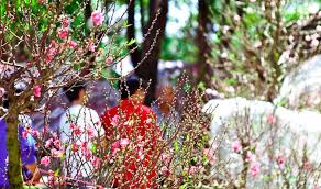 Dự báo thời tiết ngày mai 17/02/2018 Hà Nội và các khu vực trên cả nước