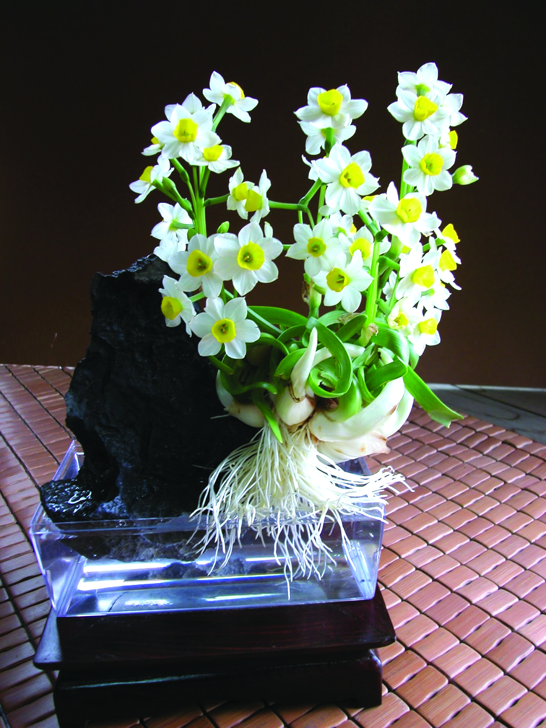 Hà Nội Những thú vui tao nhã ngày Tết