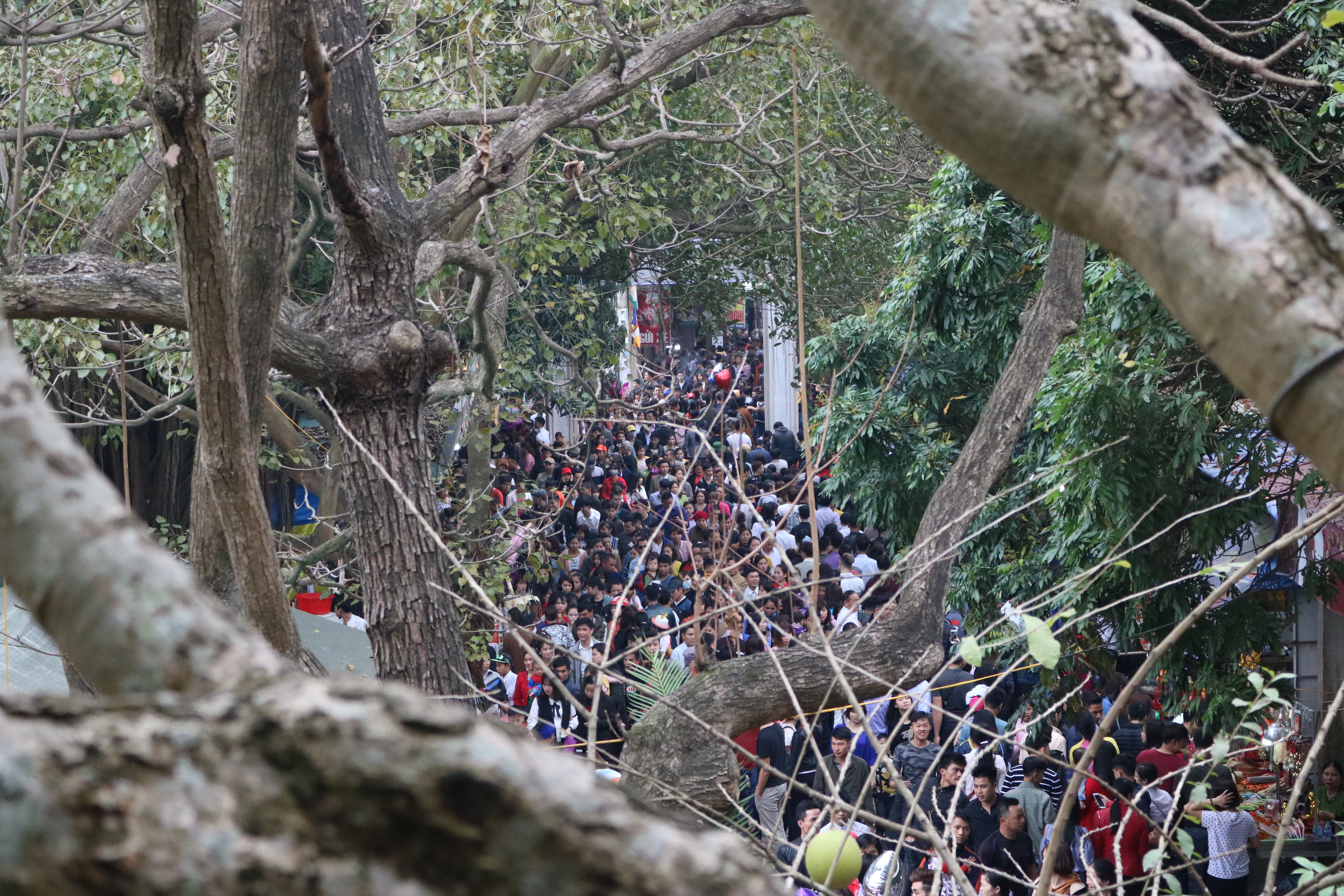 Chùa Phật Tích: Tấp nập dòng người du xuân trẩy hội 