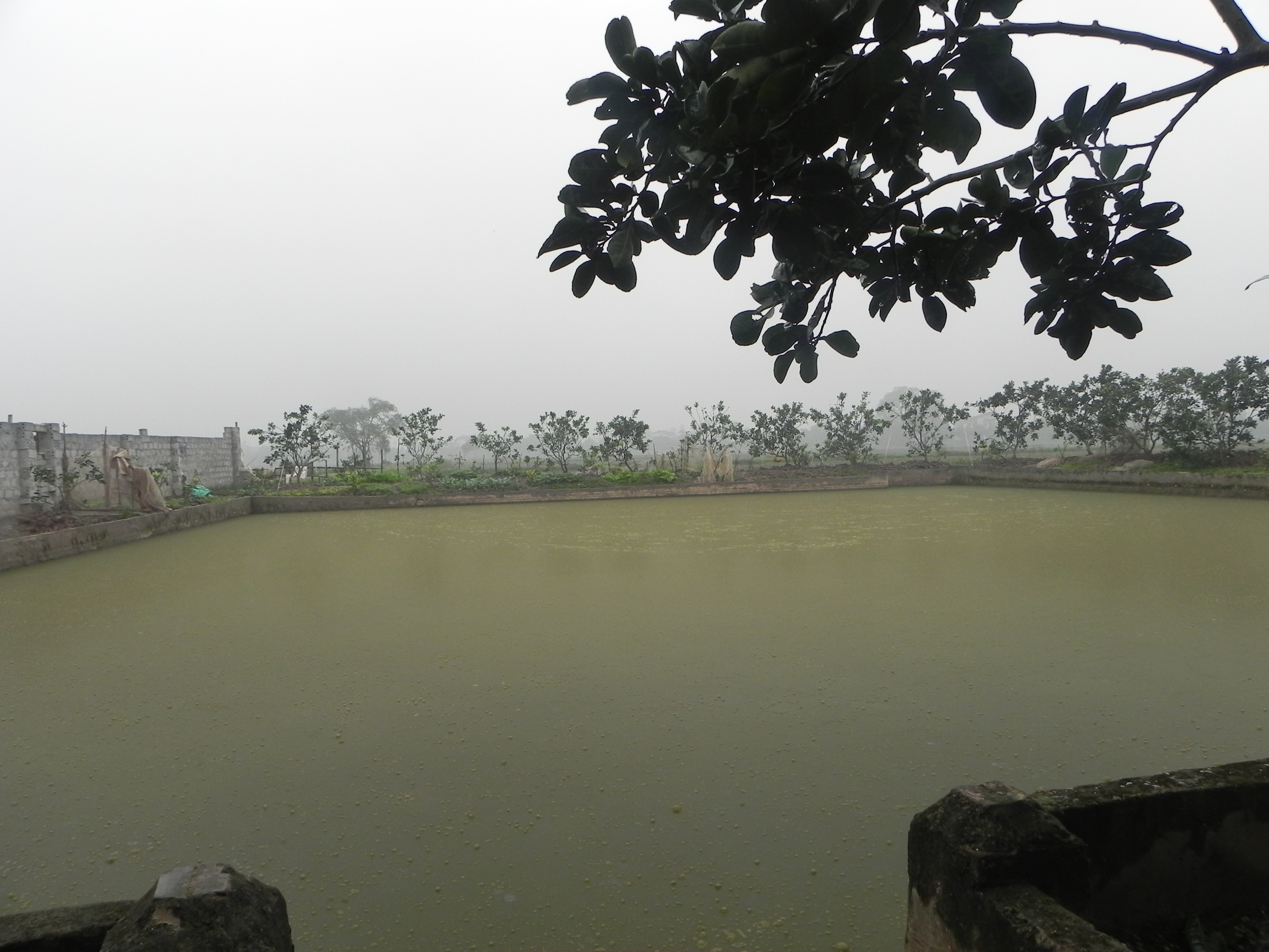 Khâm phục ý chí của một người phụ nữ khiếm thị Phú Xuyên