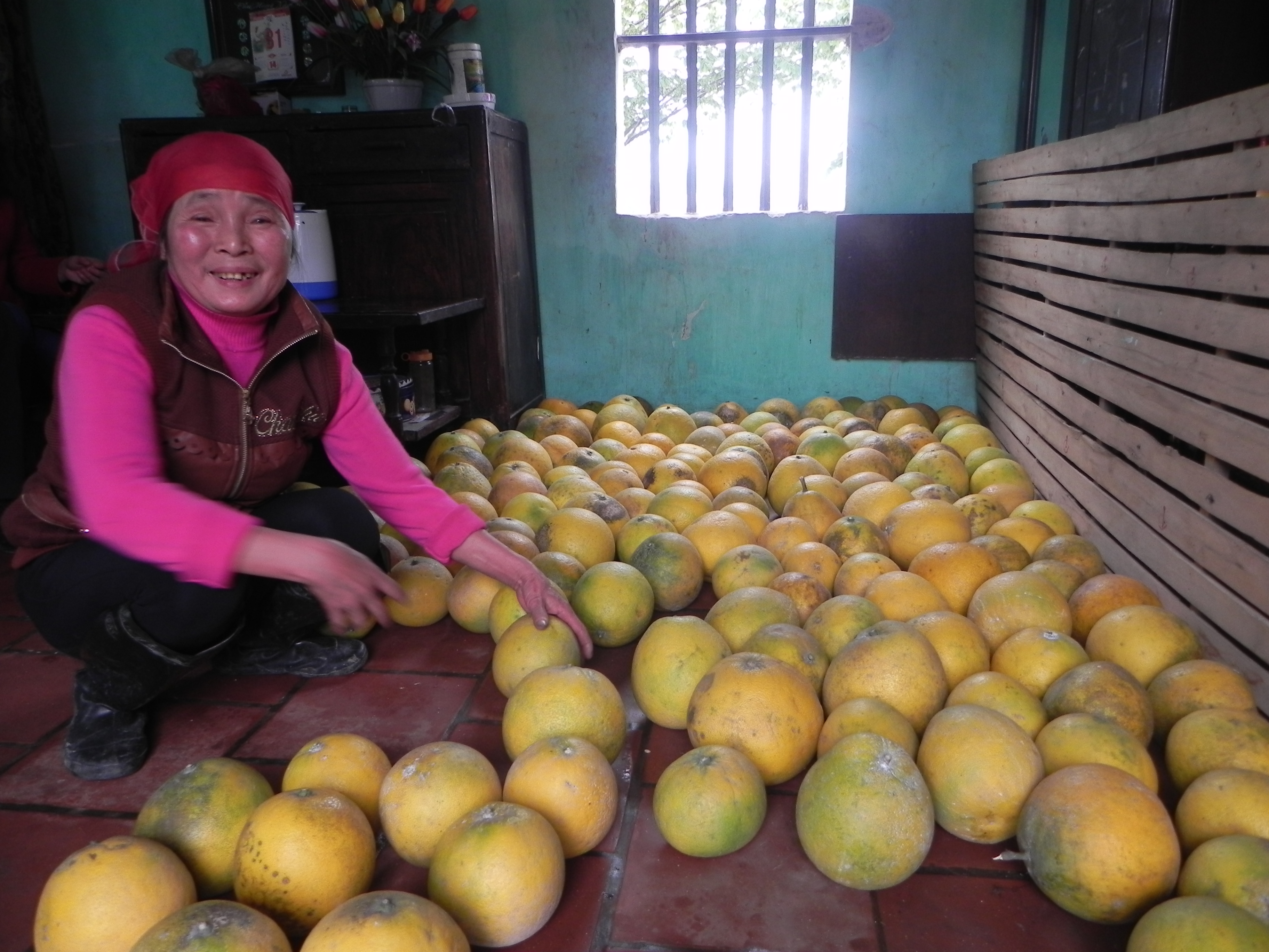 Khâm phục ý chí của một người phụ nữ khiếm thị Phú Xuyên