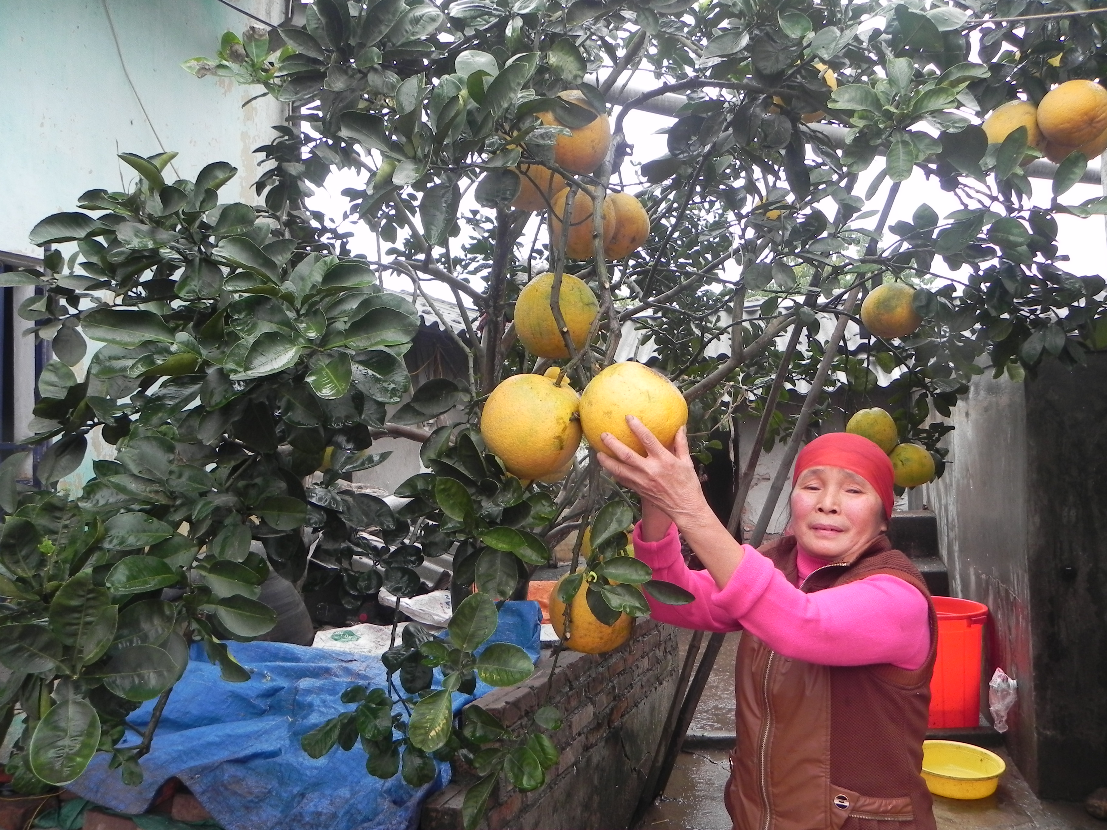 Khâm phục ý chí của một người phụ nữ khiếm thị Phú Xuyên