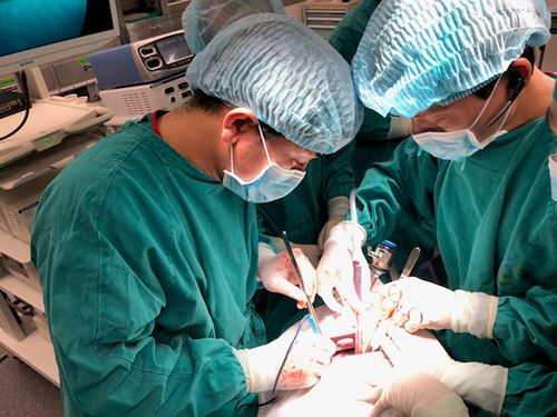 Hoạt động giao lưu y tế trong chuỗi hoạt động giao lưu VH Việt Nhật