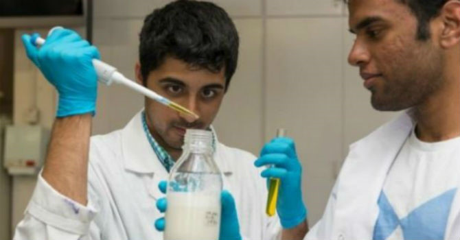 Startup Mỹ sản xuất sữa bò nhân tạo