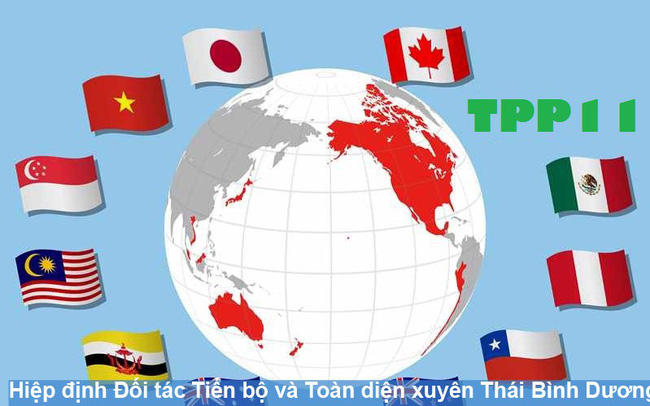 Vì sao CPTPP ‘Toàn diện và Tiến bộ’?