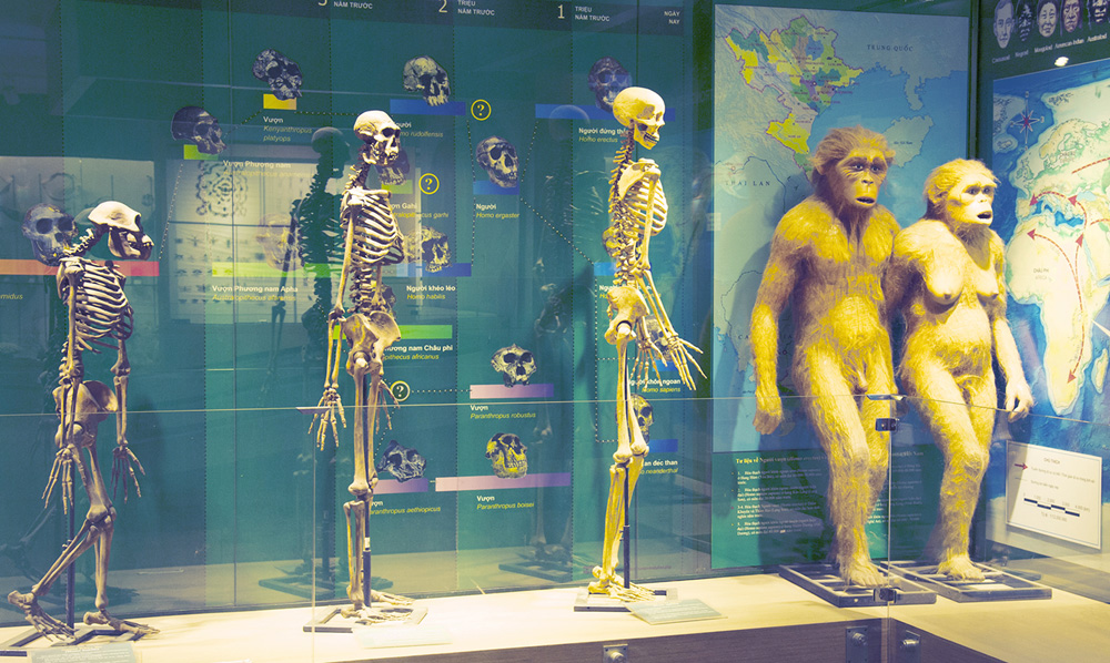 11 tụ điểm vui chơi giải trí trong Ha Nội cho người ngại đi xa