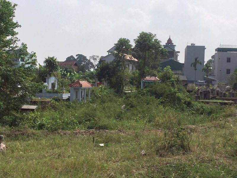 Chung cư Thanh Hà Cienco 5: Nước sinh hoạt nhiễm độc, ai chịu trách nhiệm? 