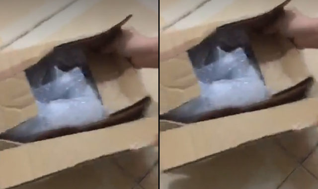 Chuyển phát Iphone 7 plus qua Giao hàng nhanh nhưng nhận lại hộp trống