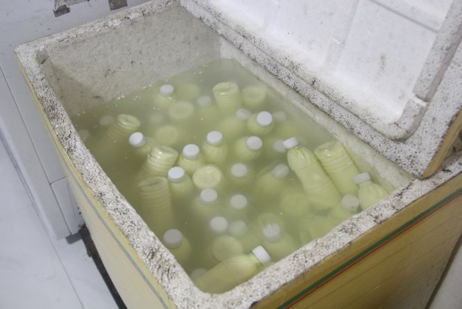 Đà Nẵng: Đình chỉ 2 cơ sở hoạt động nấu sữa bắp