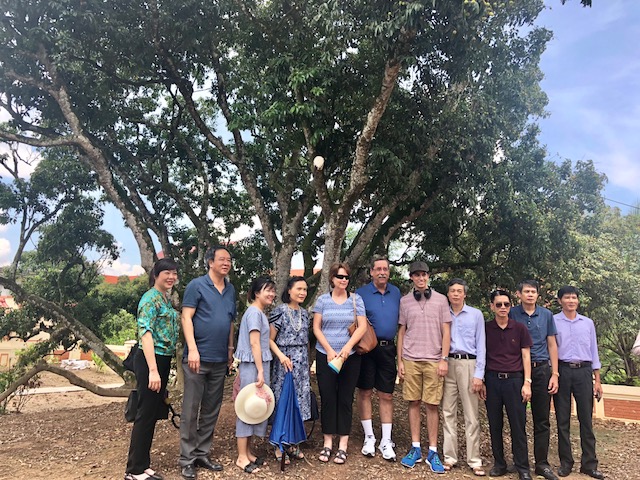 Hải Dương: Lần đầu tiên tổ chức lễ hội vải thiều