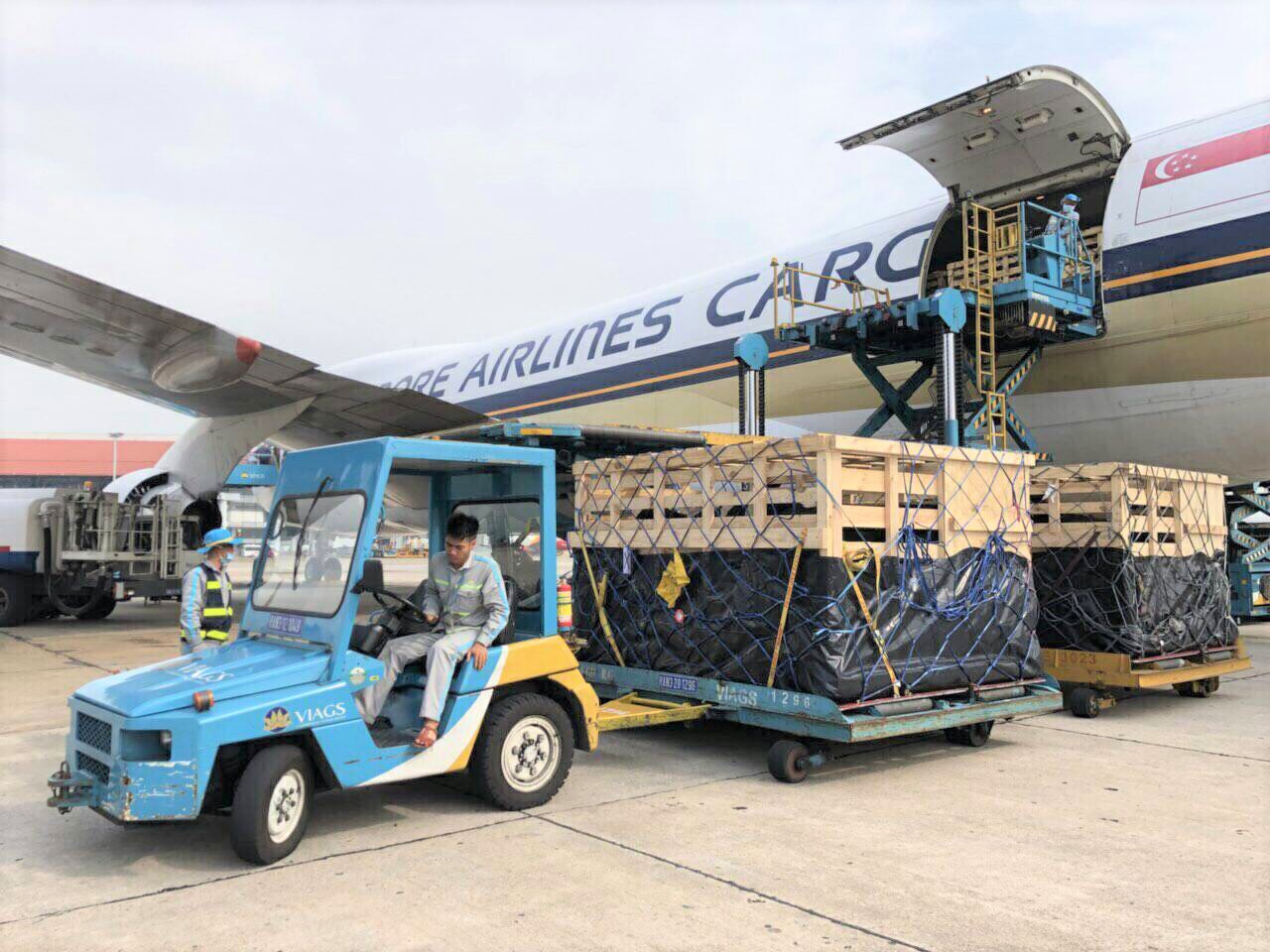  VINAMILK NHẬP LÔ BÒ A2 THUẦN CHỦNG ĐẦU TIÊN TỪ NEW ZEALAND