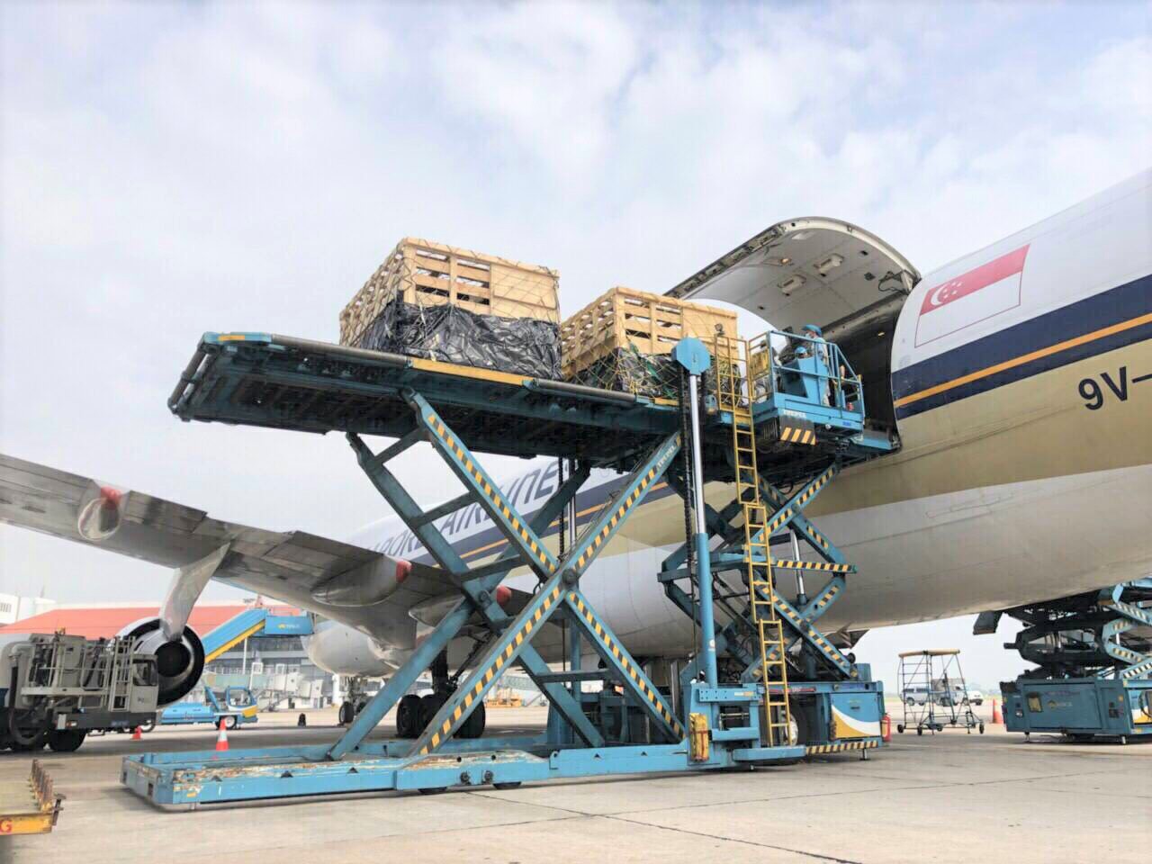  VINAMILK NHẬP LÔ BÒ A2 THUẦN CHỦNG ĐẦU TIÊN TỪ NEW ZEALAND