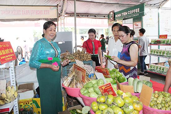 Trà Vinh: Đẩy mạnh xúc tiến thương mại để kích cầu kinh tế
