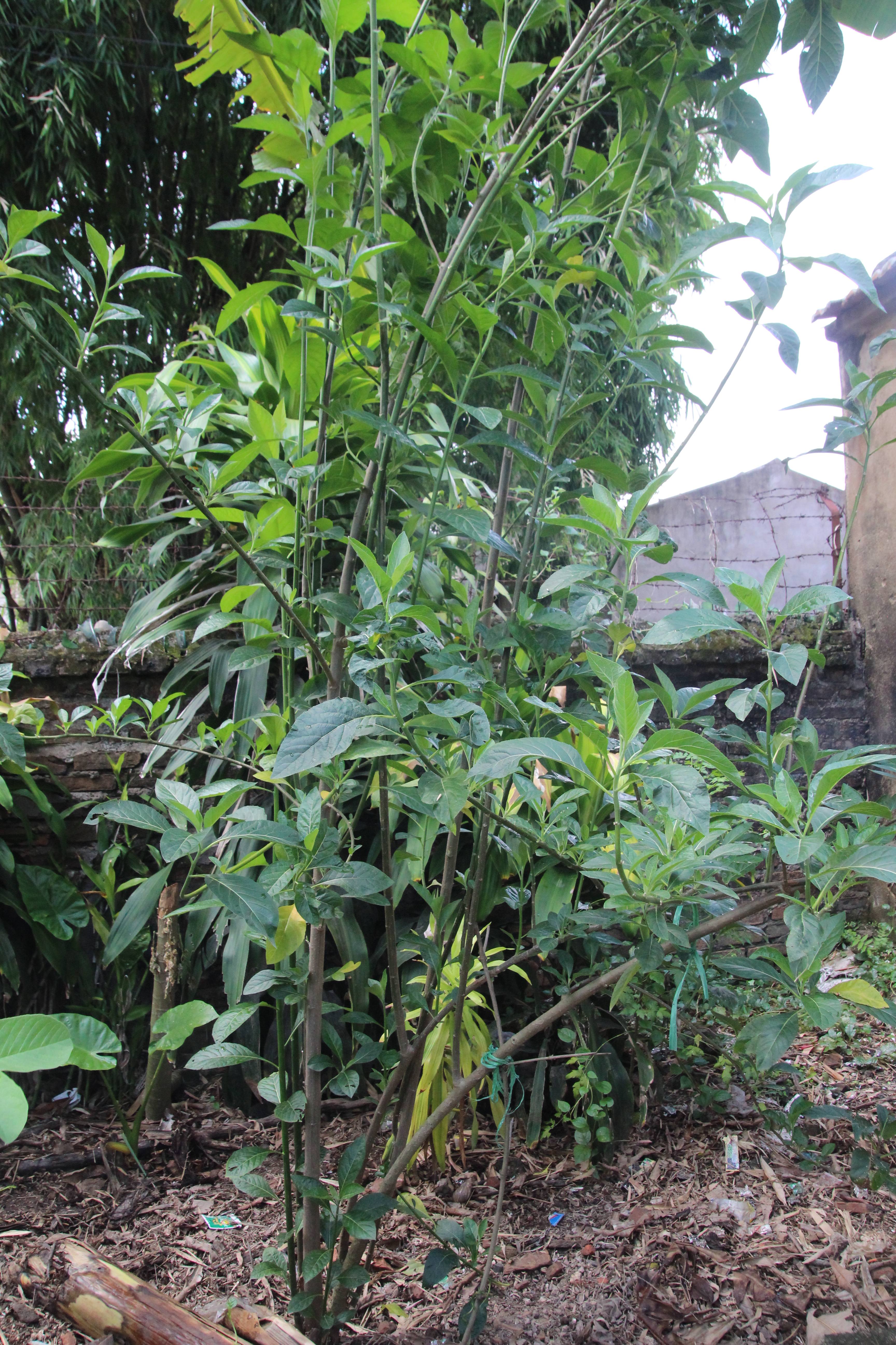 Hành trình 5 năm chiến đấu với căn bệnh ung thư trực tràng