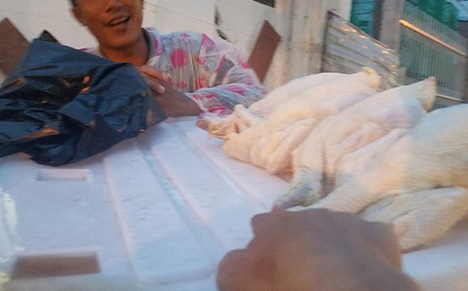 Truy xuất nguồn gốc của loại Gà không đầu