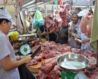 Nguồn cung không thiếu giá lợn hơi vẫn liên tục tăng  