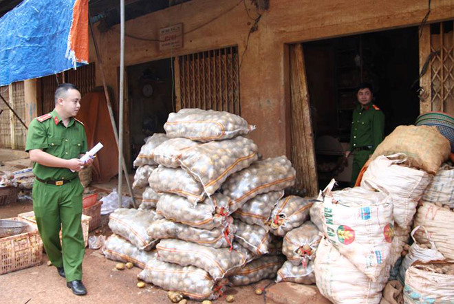 Lật tẩy công nghệ hô biến khoai tây Trung Quốc giả hàng Đà Lạt