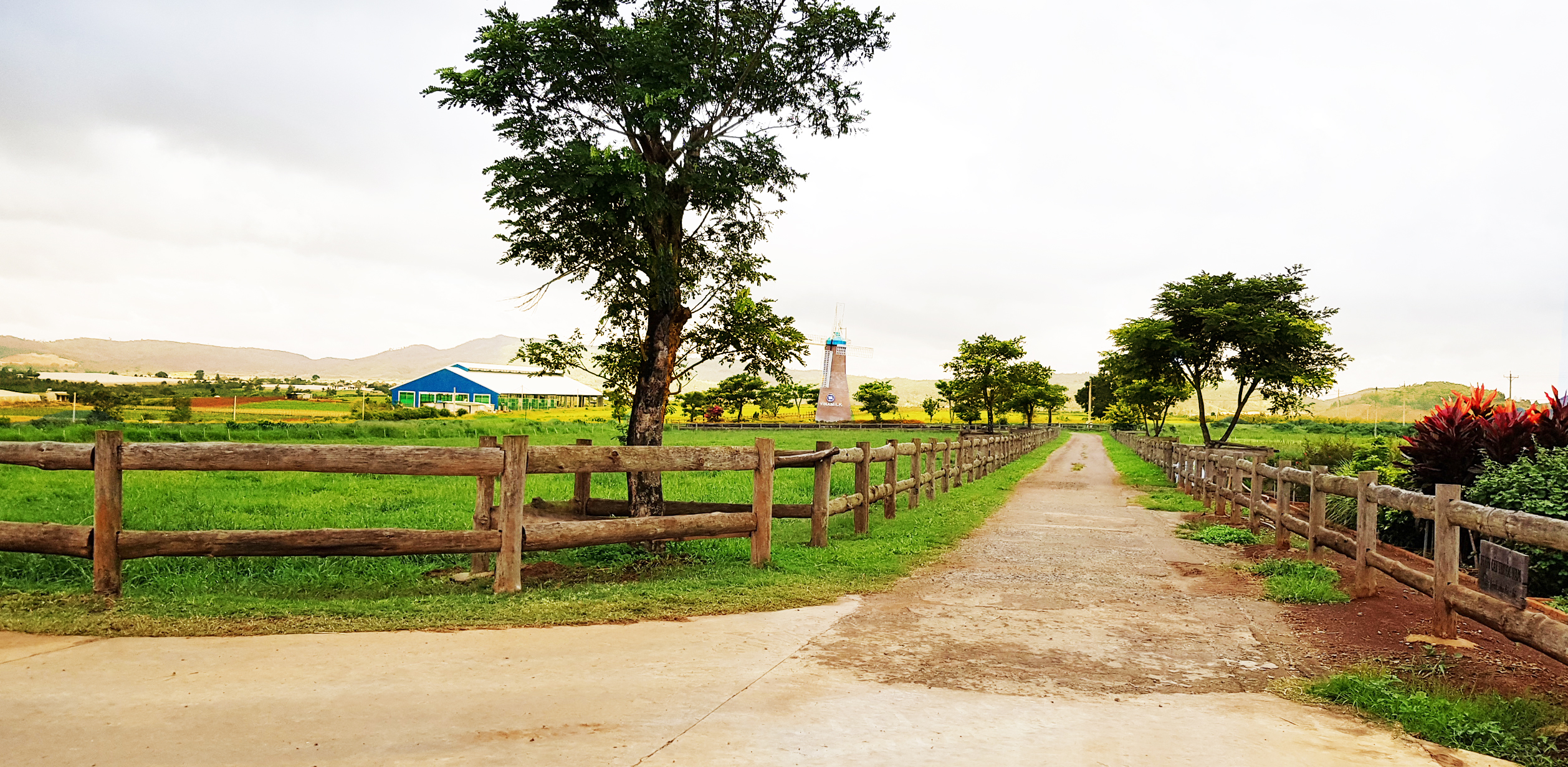  Hình ảnh trang trại organic đầu tiên của Việt Nam được Vinamilk khánh thành vào tháng 03/2017