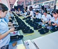 Bộ Công Thương cảnh báo hàng Việt xuất khẩu sang các nước Châu Âu sẽ bị tăng thuế 