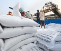 Quy định mới về điều kiện kinh doanh xuất khẩu gạo 