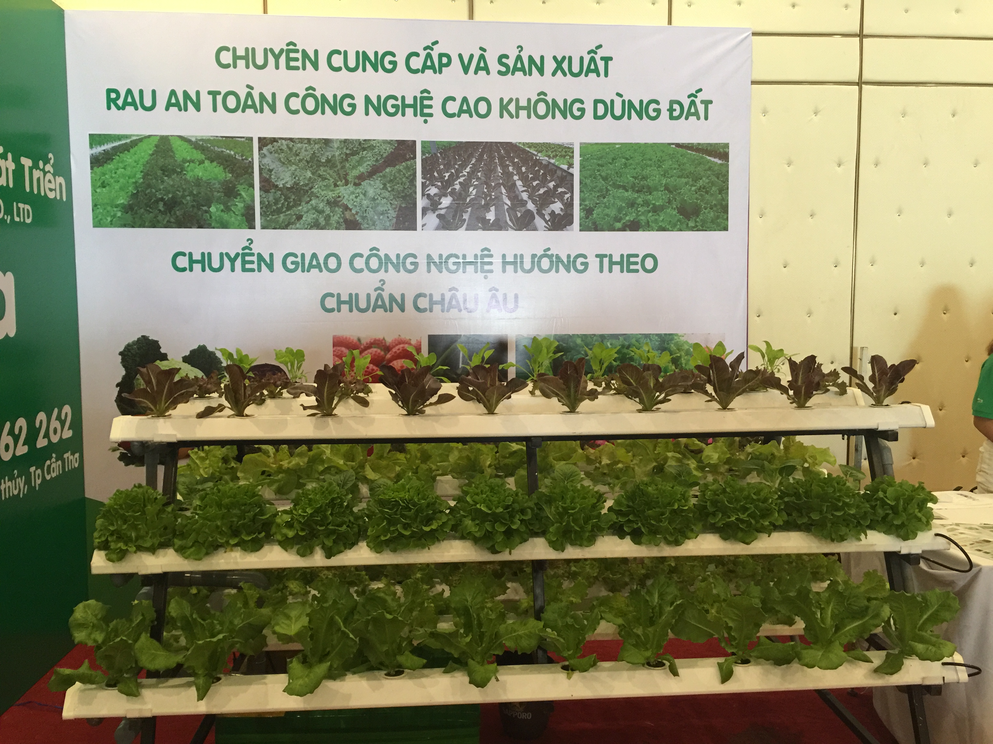Diễn đàn kết nối cung cầu nông sản chủ lực ĐBSCL 2018: giải bài toán đầu ra cho nông sản Việt