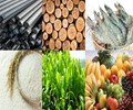 Xuất nhập khẩu hàng hóa 9 tháng đầu năm 2018 tăng trưởng cao 