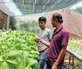 Chuyển biến mạnh mẽ sau 10 năm thực hiện Nghị quyết “Tam nông” 