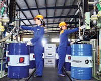 98Win59 com link không chặn Bộ yêu cầu Công ty TNHH Hóa dầu Petrolimex nhanh chóng khắc phục sai phạm thiếu sót 