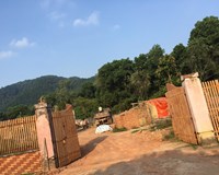 Sóc Sơn - Hà Nội Biệt thự Nhà Vườn mọc lên như nấm sau mưa trong đất rừng phòng hộ