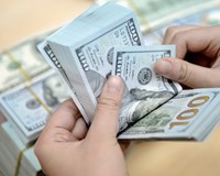 Mang 100 USD đi đổi tại tiệm vàng bị phạt 90 triệu đồng 