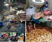 Sản xuất kinh doanh thực phẩm bẩn bị phạt tới 100 triệu đồng