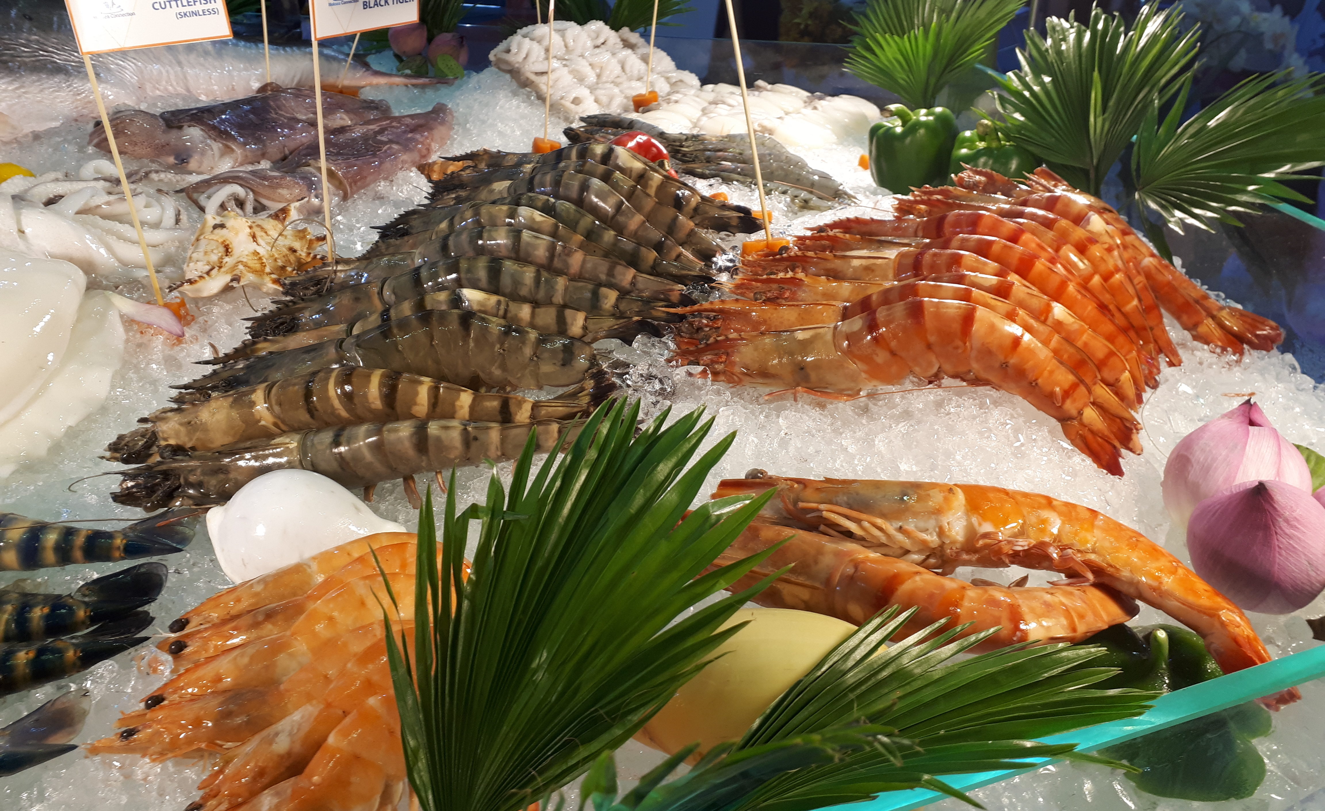 Năm 2018 Xuất khẩu thủy sản dự đoán đạt khoảng 9 tỷ USD 