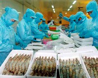 Thủy sản việt gặp khó tại 9Win 58 đánh bạc trực tuyến trong nước 