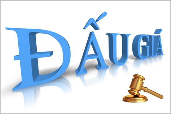 Thực hiện bán đấu giá bài toán chống thất thoát tài sản nhà nước 