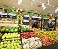Ban hành hệ thống ngành sản phẩm Việt Nam 