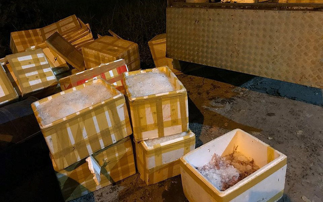 QLTT TP Hồ Chí Minh phát hiện xe tải chở 3 tấn chim cút đông lạnh bốc mùi 