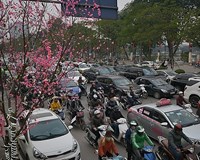 Bảo đảm trật tự an toàn giao thông văn minh đô thị trên địa bàn Thành phố dịp Tết 2019