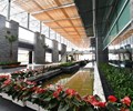 Những dịch vụ đẳng cấp quốc tế chỉ có tại sân bay quốc tế Vân Đồn 