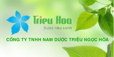 Quảng cáo không phép Công ty TNHH Nam dược Triệu Ngọc Hòa bị xử phạt 