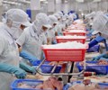 CPTPP vào Việt Nam giảm thuế 0 đối với hầu hết các sản phẩm thủy sản xuất khẩu
