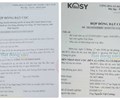Tập đoàn KOSY tăng vốn ảo để “ôm” <a style='color:#222' onclick='ga('send', 'event', 'trendings desktop', 'click','bất động sản',1.00, {'nonInteraction': 1});' href='/kinh-te/bat-dong-san.html'>bất động sản</a>