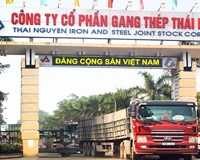 Lối ra nào cho TISCO 