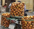 Người dân Hà Giang khó vì cam sành được mùa lại mất giá